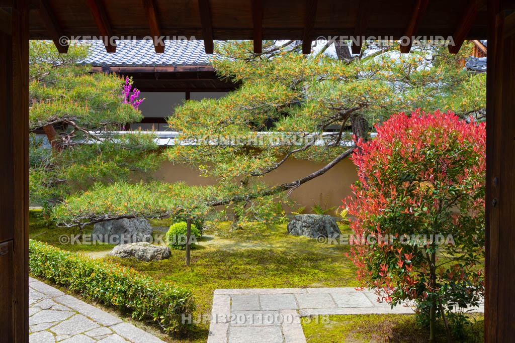 京都府　大徳寺　三玄院の参道