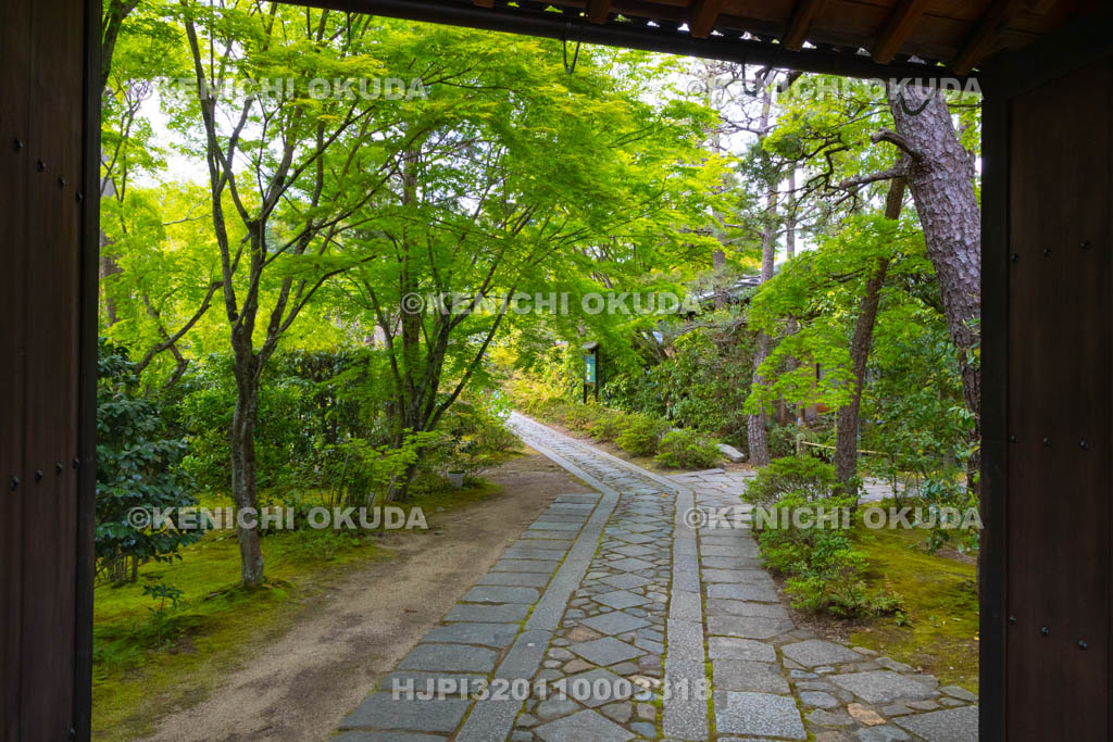 京都府　大徳寺　正受院の参道
