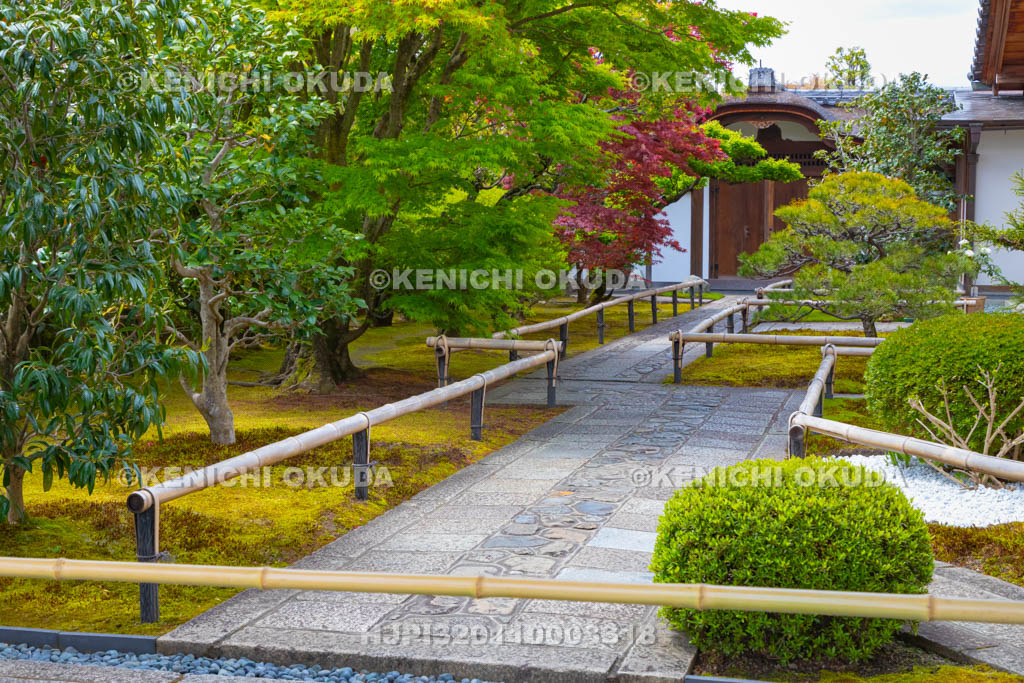 京都府　大徳寺　興臨院の参道