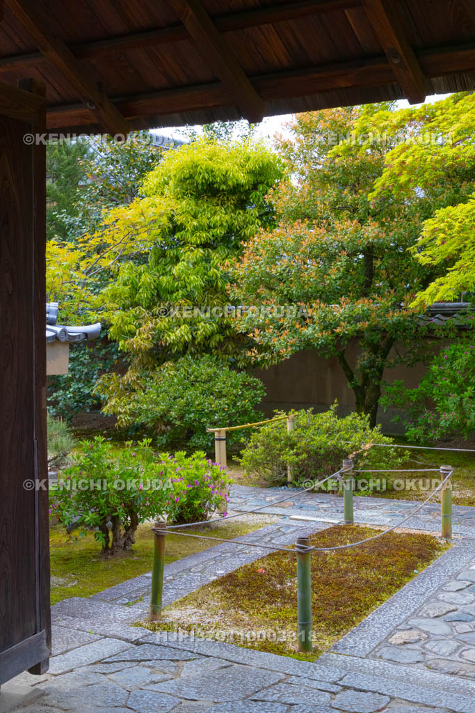 京都府　大徳寺　大慈院の参道