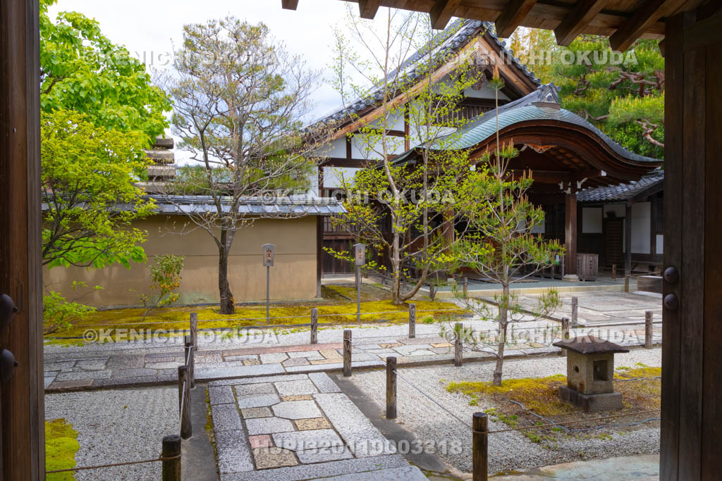 京都府　大徳寺　大仙院の参道