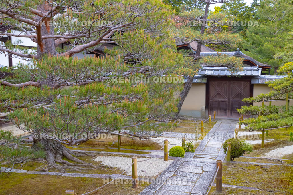 京都府 大徳寺 真珠庵の参道