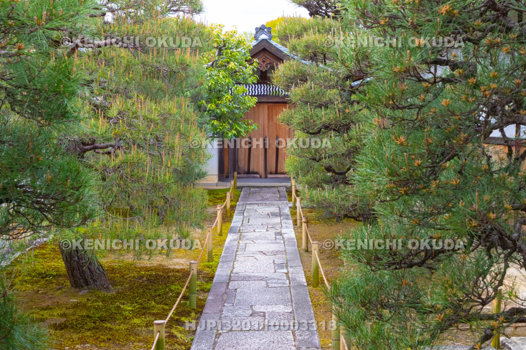京都府　大徳寺　如意庵の参道