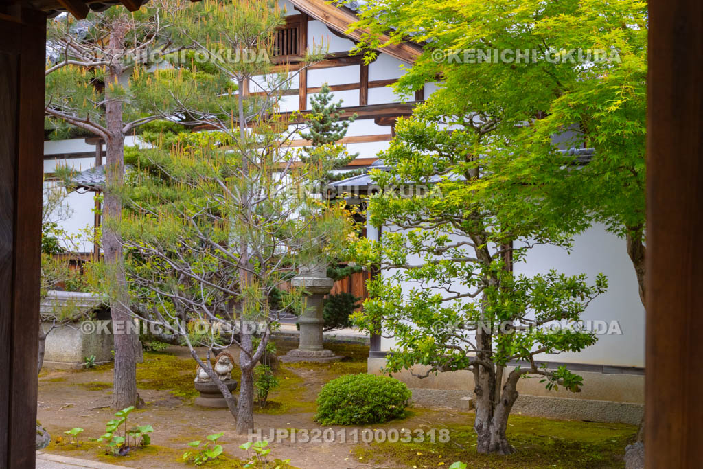 京都府　大徳寺　芳春院