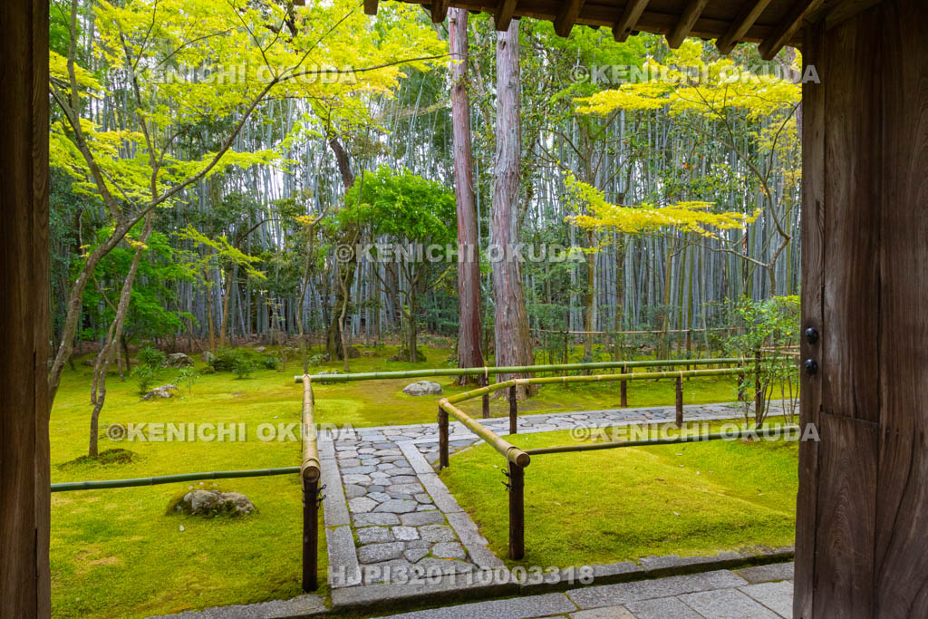京都府　大徳寺　高桐院の参道