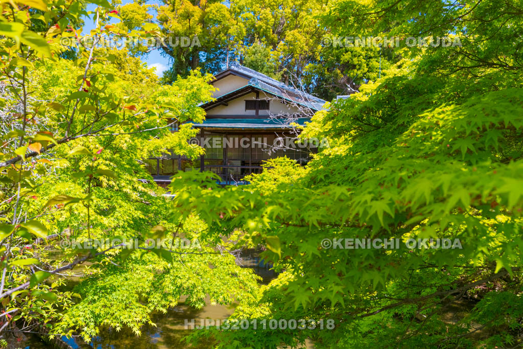 京都府　梅宮大社　新緑の参集殿