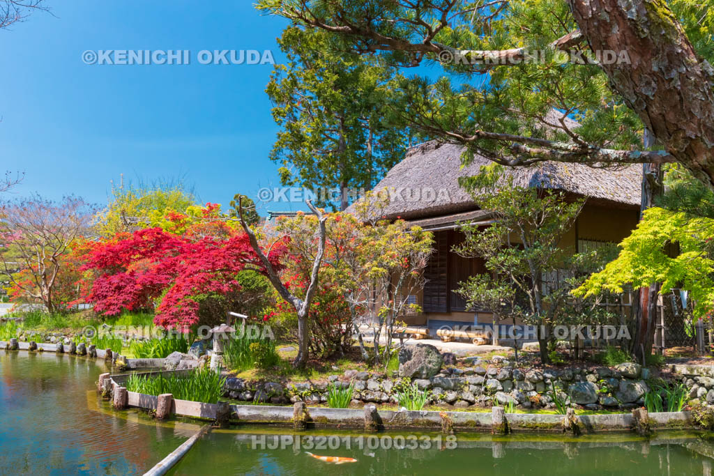 京都府　梅宮大社　神苑