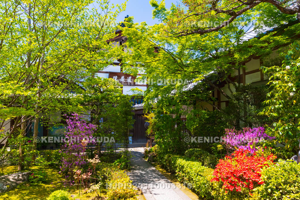 京都府　妙心寺　退蔵院の参道