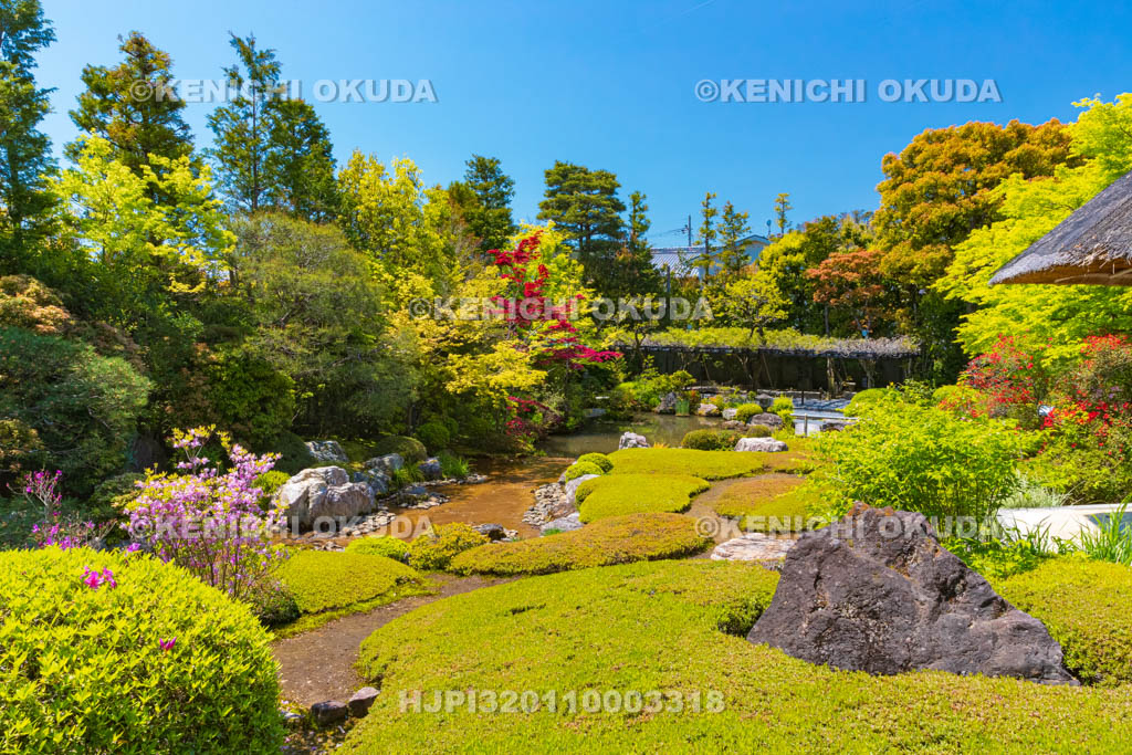 京都府　妙心寺　退蔵院の余香苑