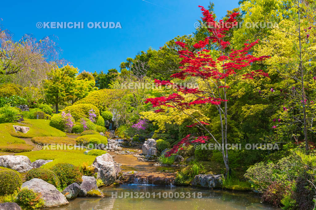 京都府　妙心寺　退蔵院の余香苑