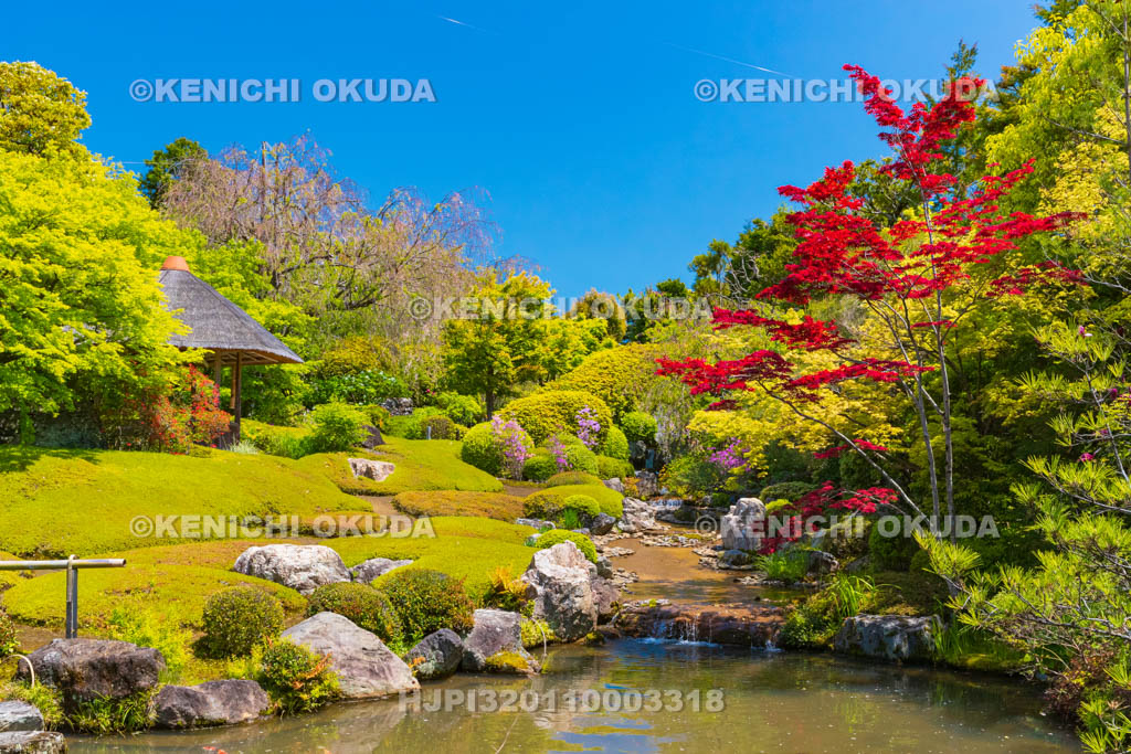京都府　妙心寺　退蔵院の余香苑