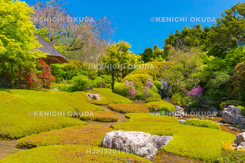 京都府　妙心寺　退蔵院の余香苑