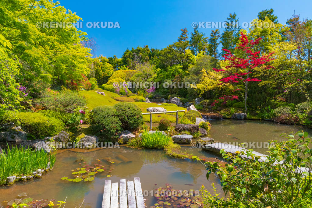 京都府　妙心寺　退蔵院の余香苑