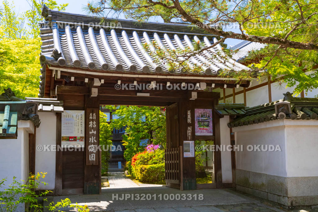 京都府　妙心寺　退蔵院　山門
