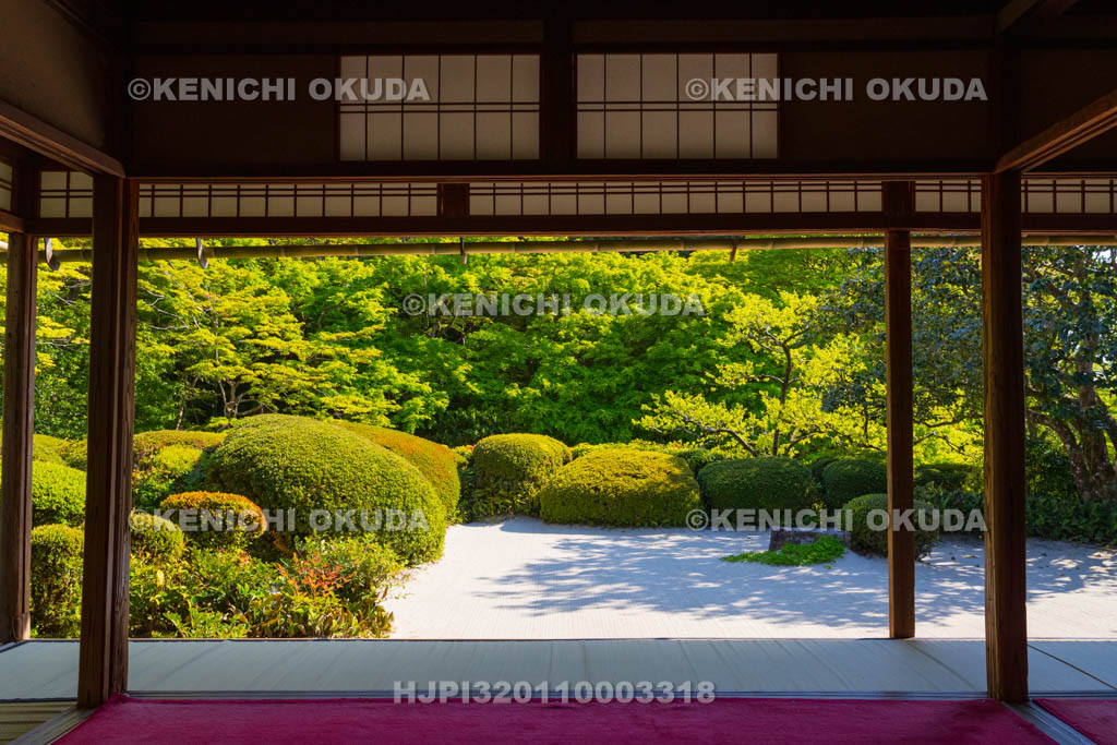 京都府 詩仙堂 嘯月楼から望む庭園