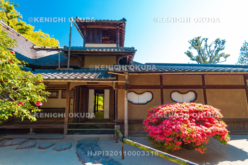 京都府　キリシマツツジ咲く詩仙堂