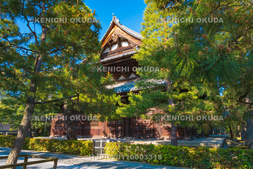 京都府　大徳寺　法堂