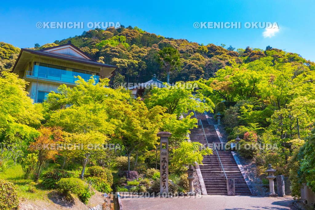 京都府 三室戸寺
