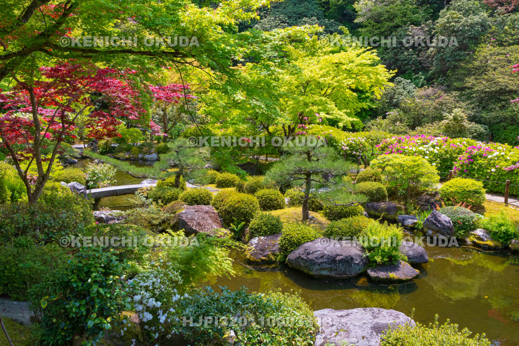 京都府　三室戸寺　三室戸寺庭園