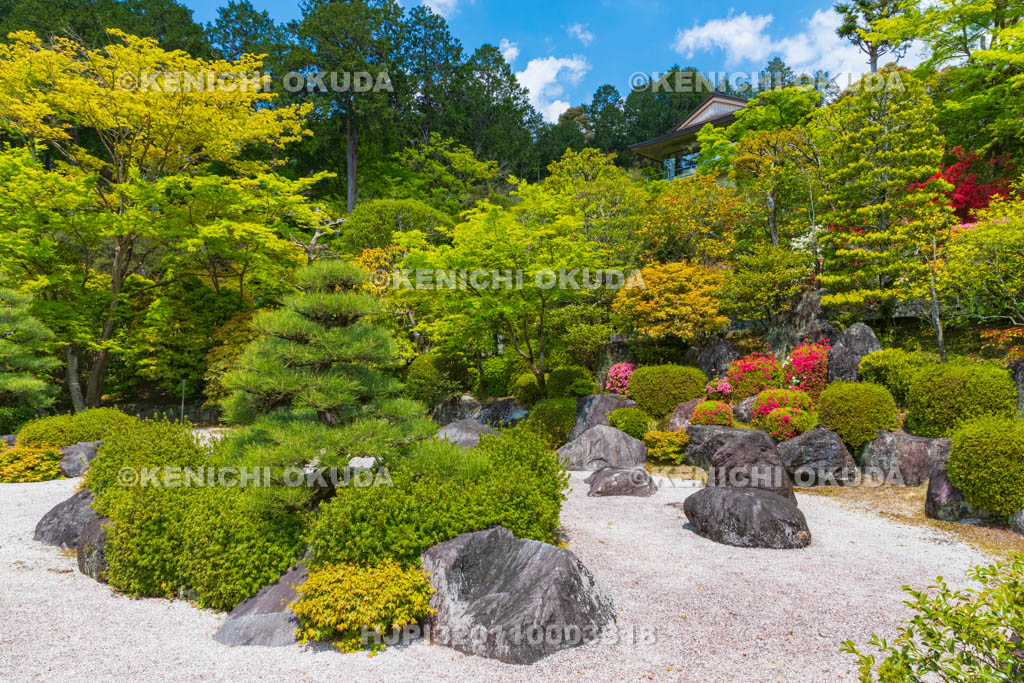 京都府　三室戸寺　三室戸寺庭園