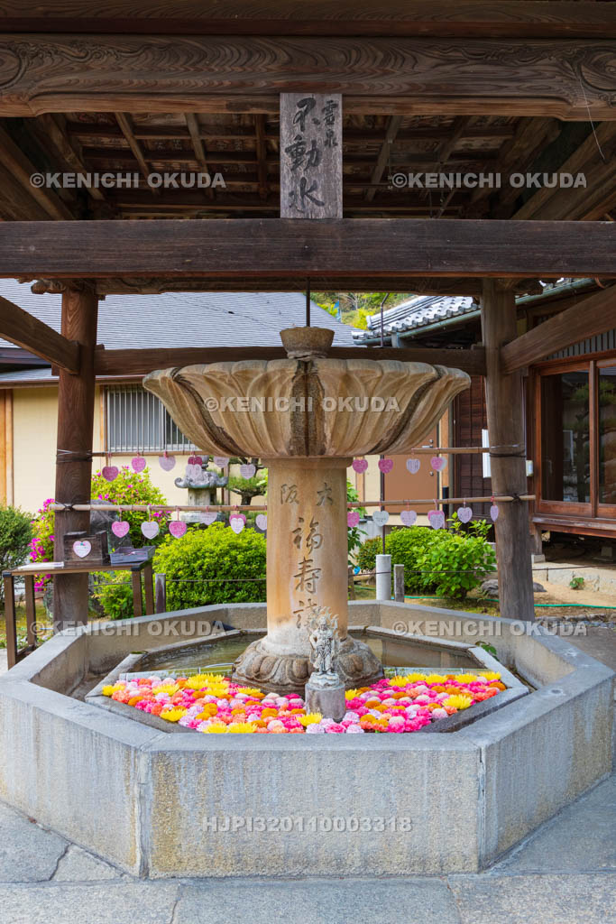 京都府 三室戸寺 霊泉不動水