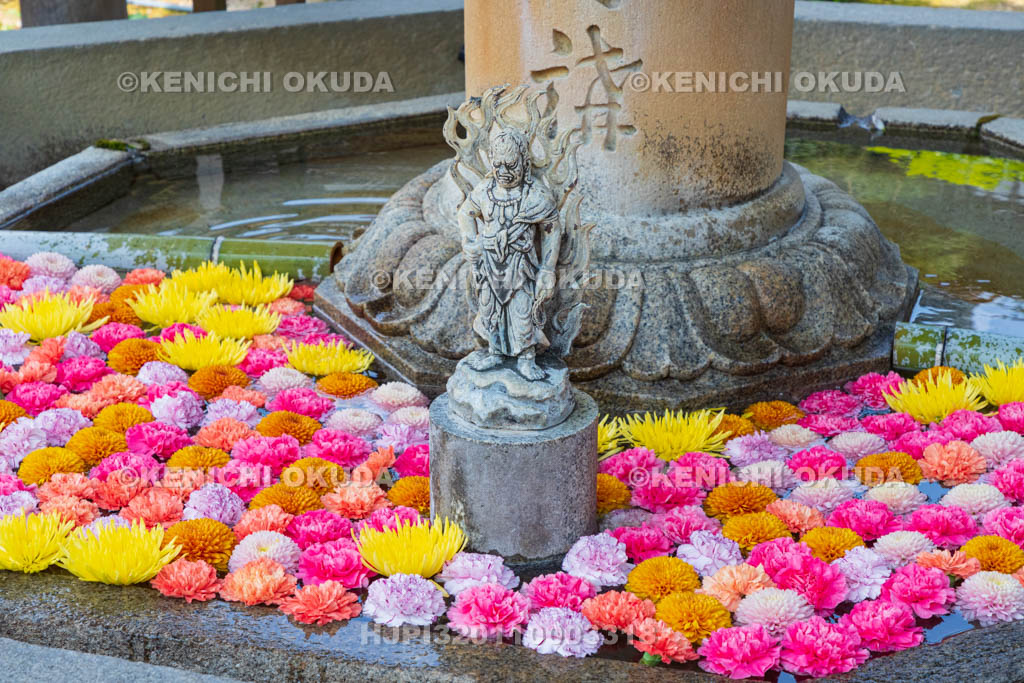 京都府 三室戸寺 霊泉不動水