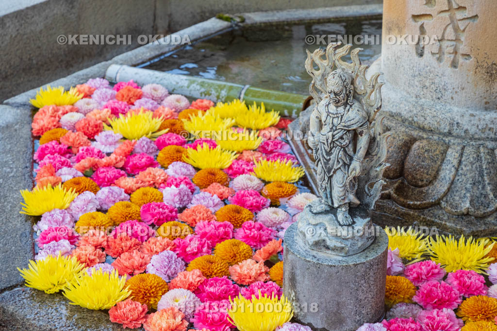 京都府 三室戸寺 霊泉不動水