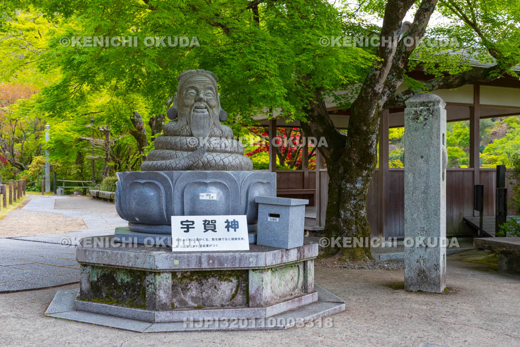 京都府　三室戸寺　宇賀神