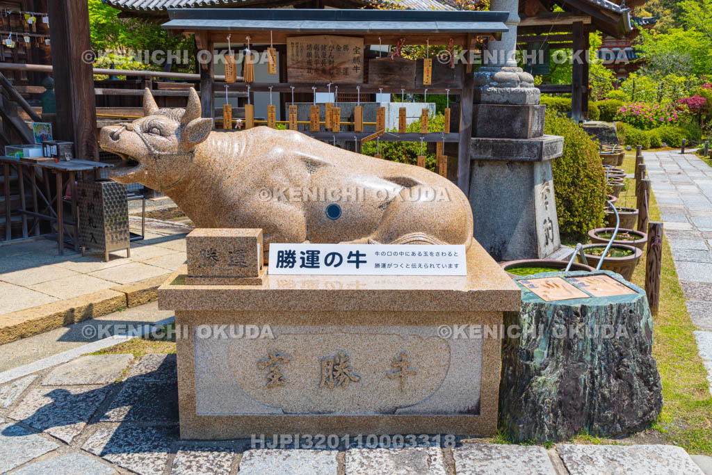 京都府　三室戸寺　勝運の牛