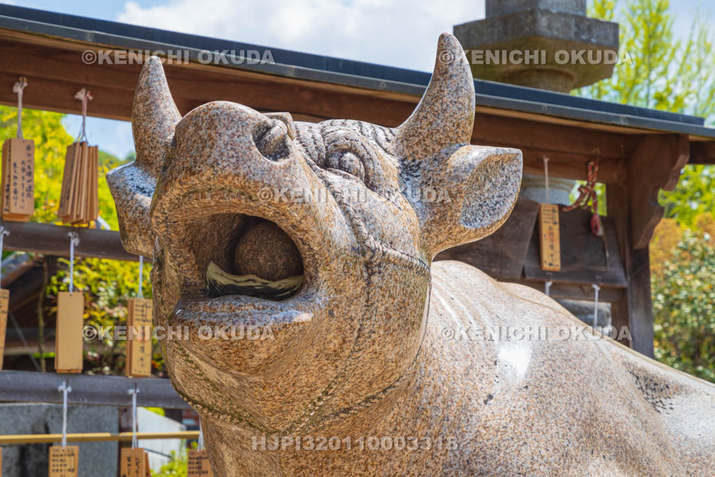 京都府　三室戸寺　勝運の牛