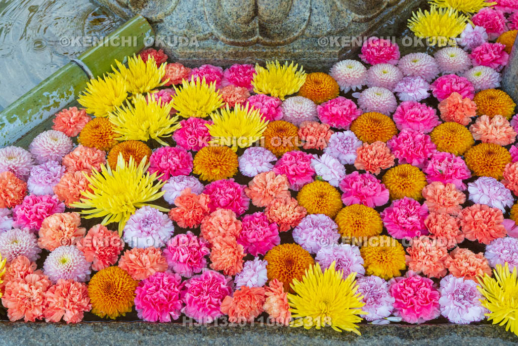 京都府 三室戸寺 霊泉不動水