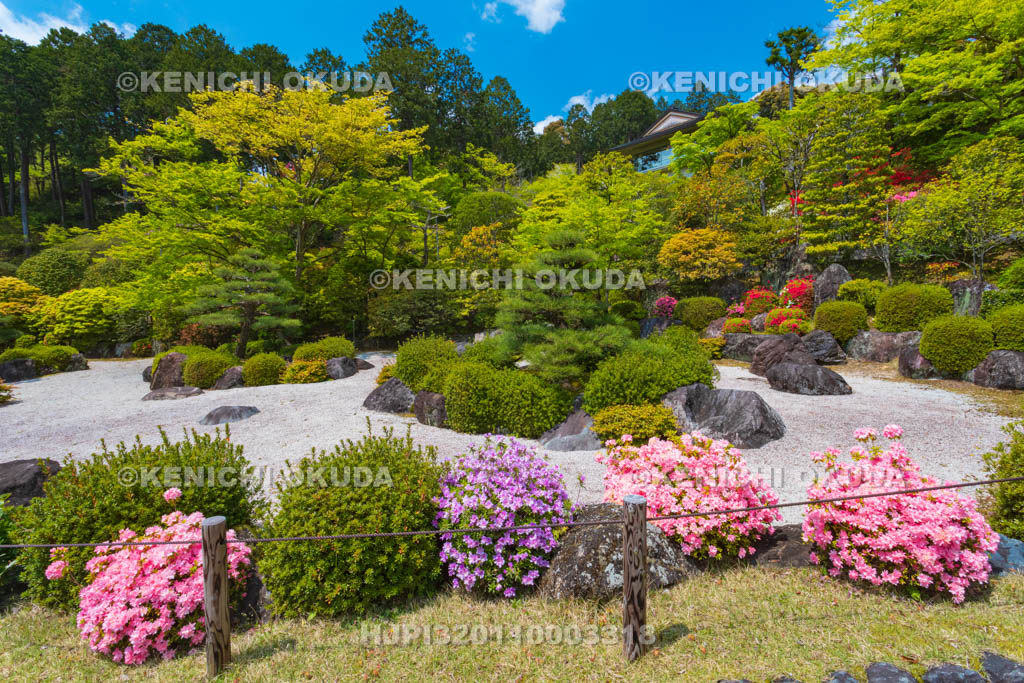京都府　三室戸寺　ツツジ咲く庭園