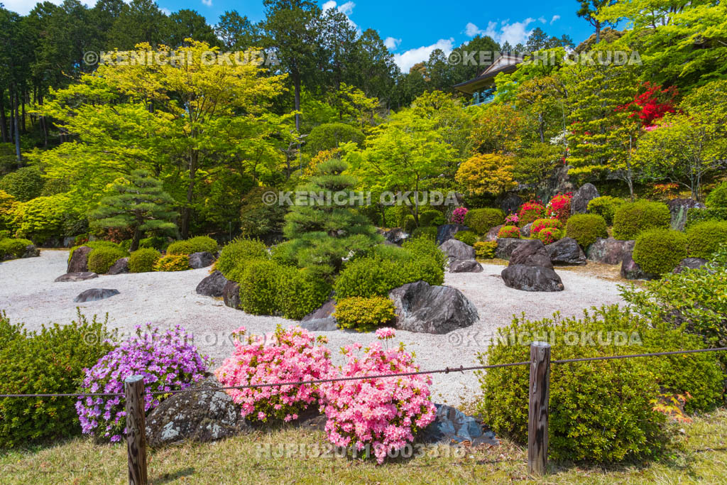 京都府　三室戸寺　ツツジ咲く庭園