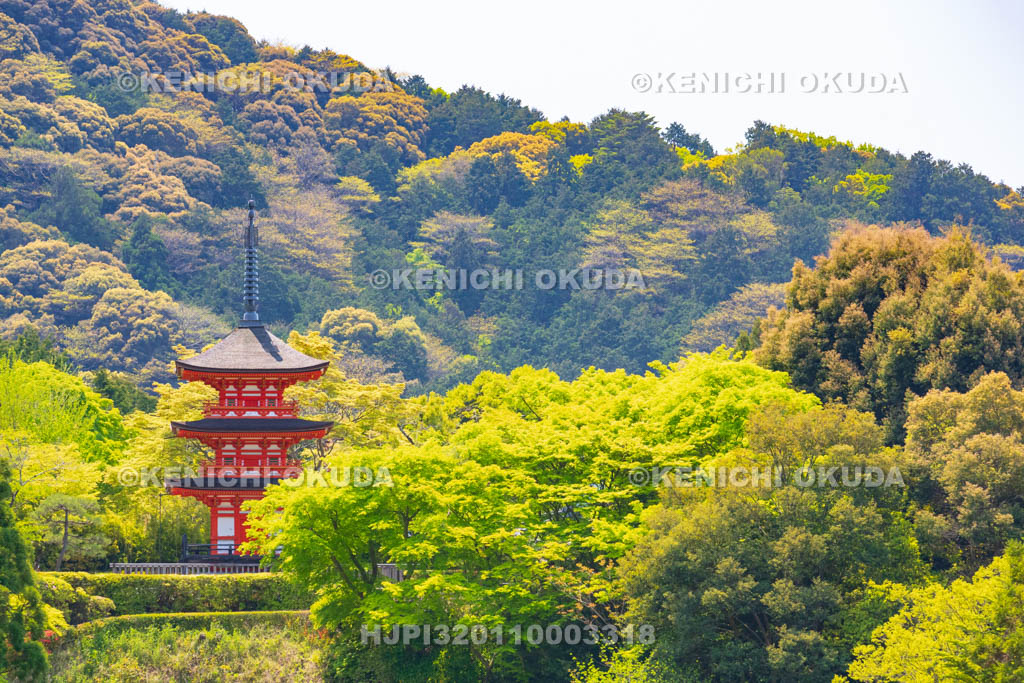 京都府 清水寺 子安塔