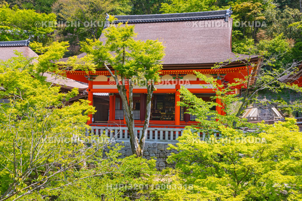 京都府　清水寺　阿弥陀堂