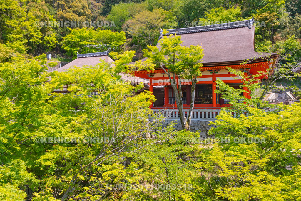 京都府　清水寺　阿弥陀堂