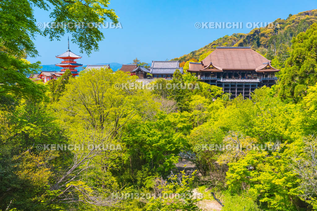 京都府　清水寺