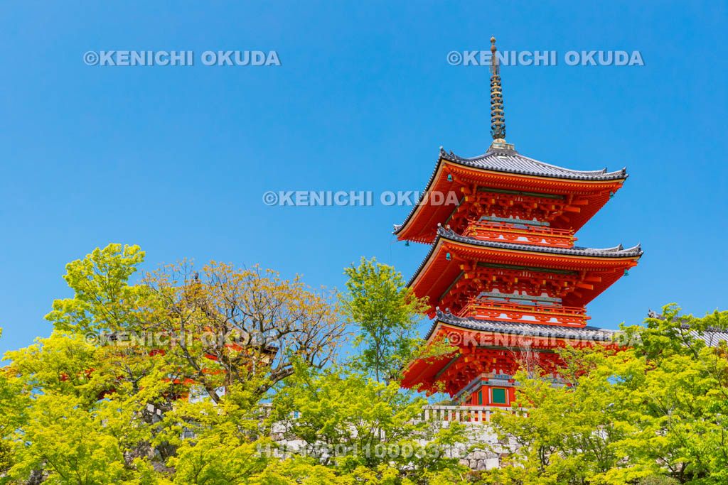 京都府　清水寺　三重塔