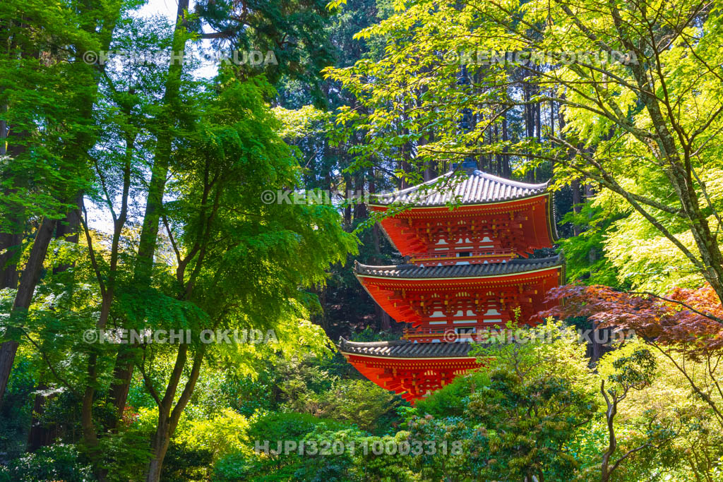 京都府　岩船寺　三重塔
