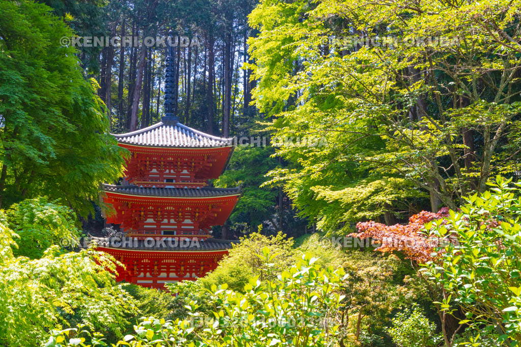 京都府　岩船寺　三重塔