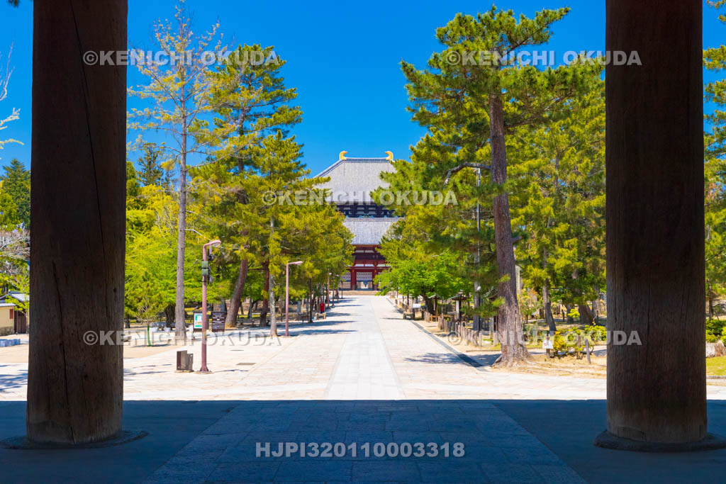 奈良県　東大寺　南大門から望む大仏殿（金堂）