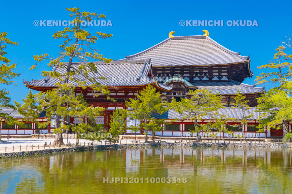 奈良県　東大寺　鏡池と大仏殿（金堂）