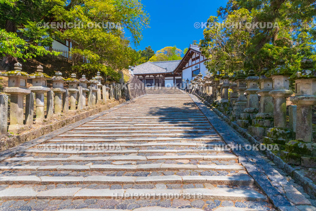 奈良県 東大寺 参道と法華堂(三月堂)