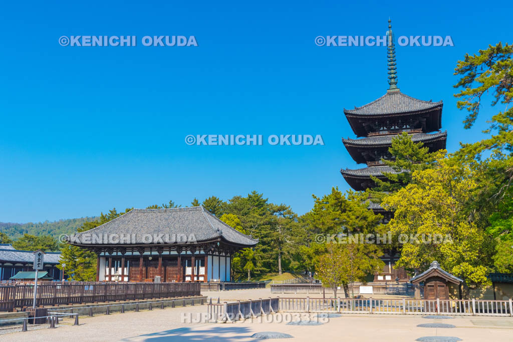 奈良県 興福寺 東金堂と五重塔