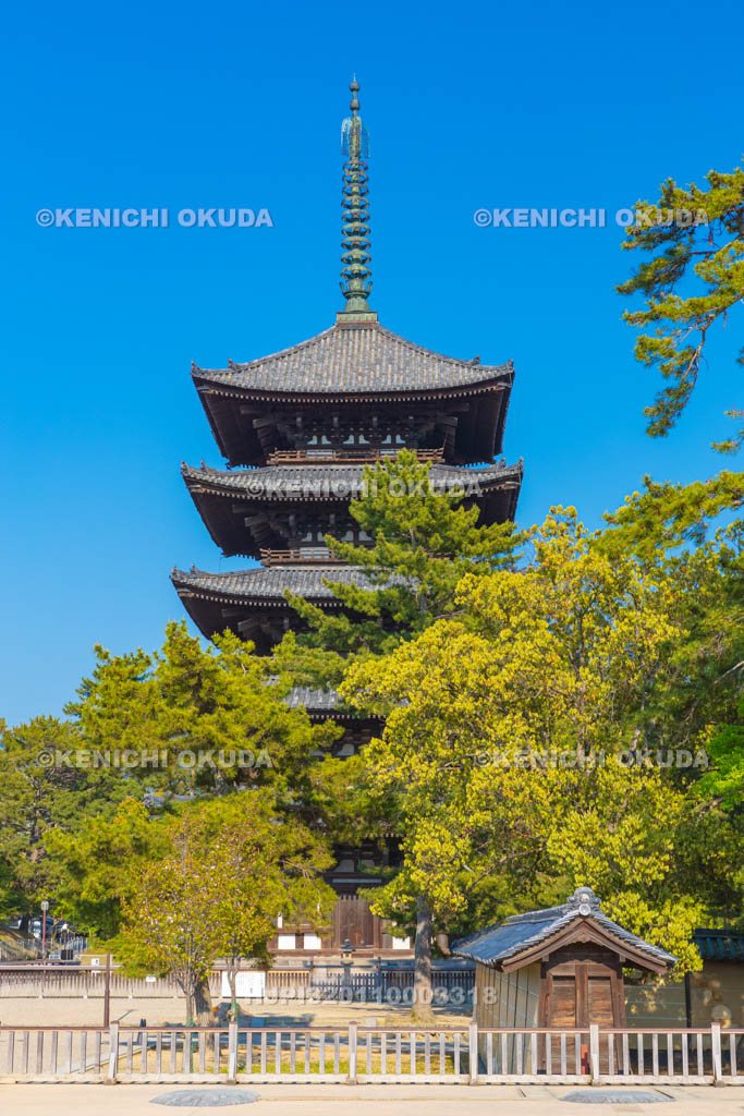 奈良県 興福寺 五重塔
