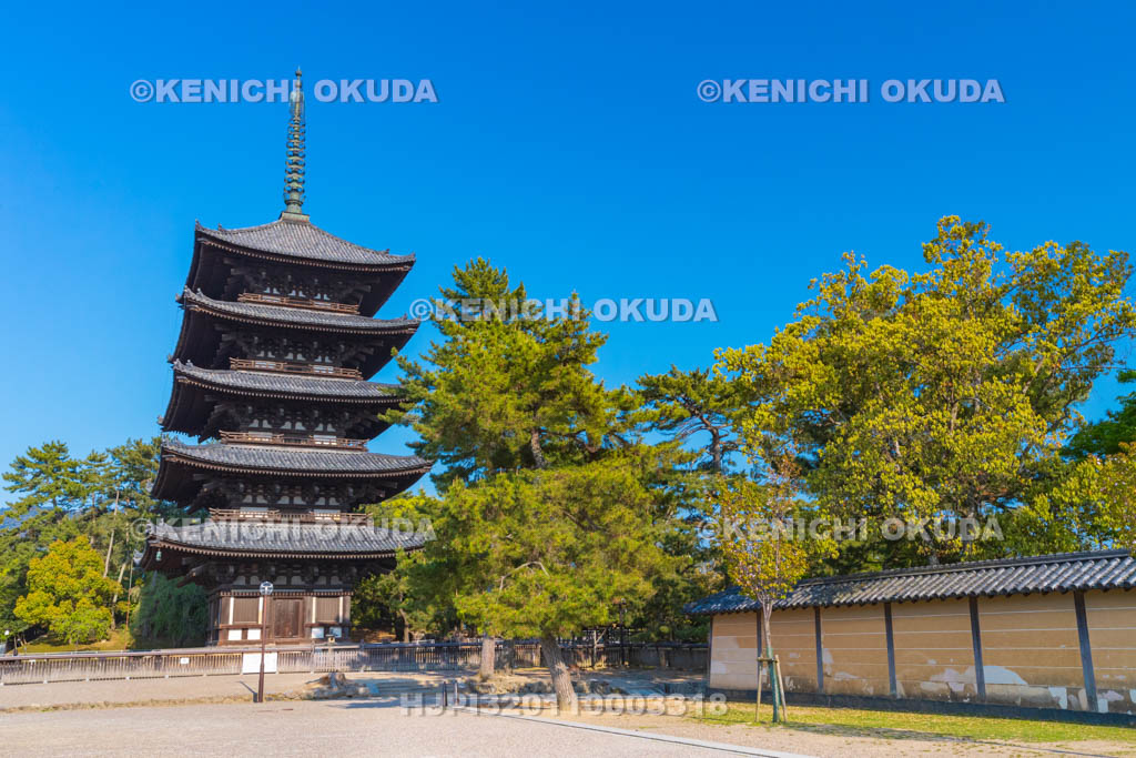 奈良県 興福寺 五重塔