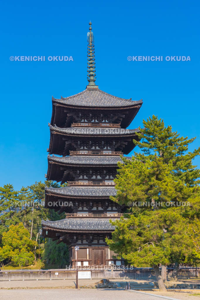 奈良県　興福寺　五重塔　