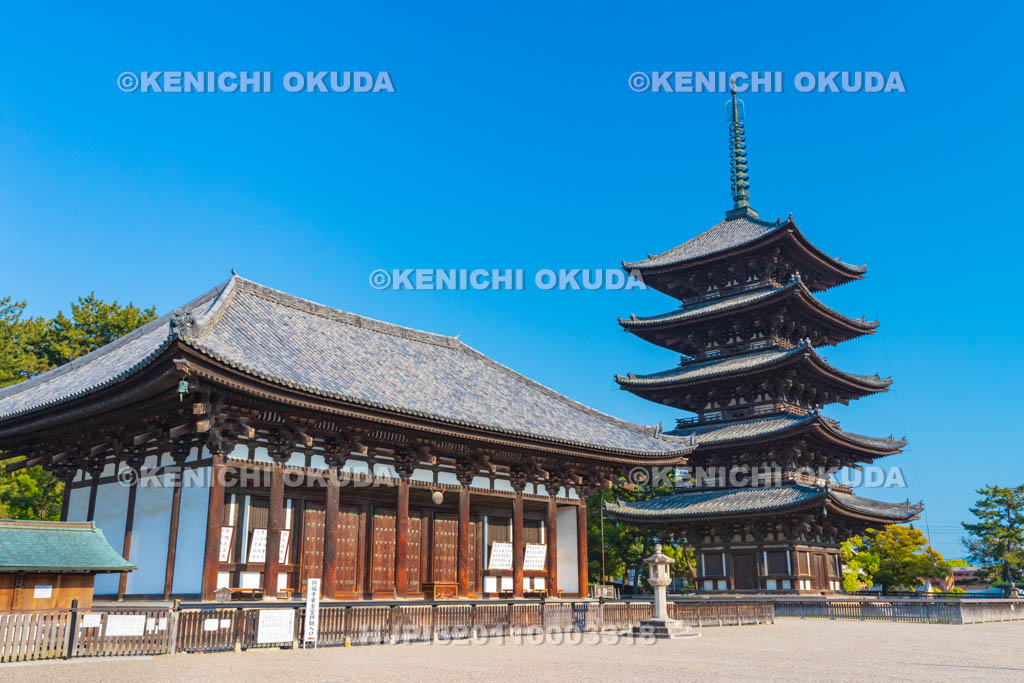 奈良県 興福寺 東金堂と五重塔