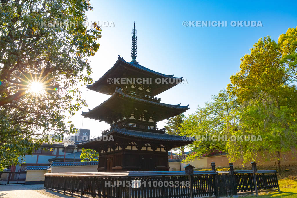 奈良県 興福寺 三重塔