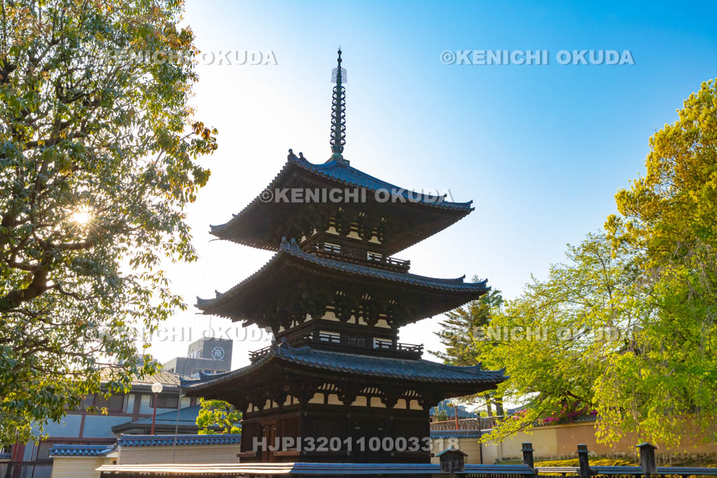 奈良県 興福寺 三重塔
